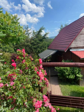 Agroturystyka Nad Stawem Przesieka